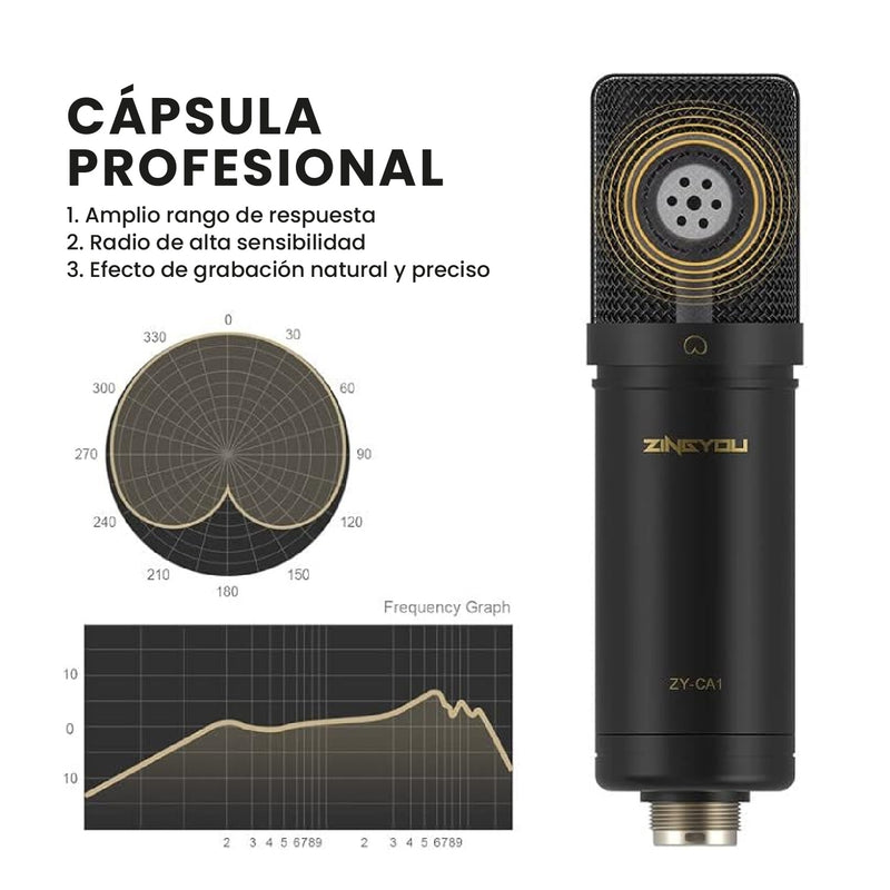 Microfono Condensador Podcast Profesional Brazo Filtro Pop Accesorios