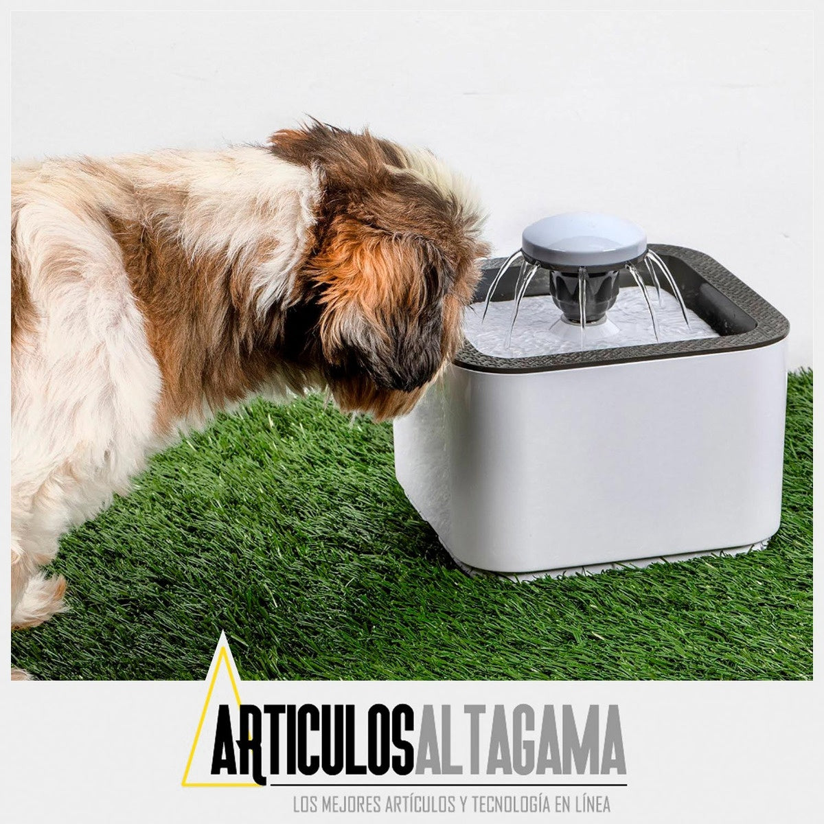 Fuente De Agua Para Gatos Perros Bebedero Para Mascotas Con 2 Filtros