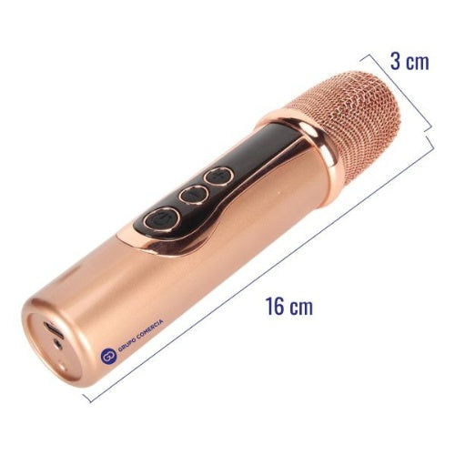 Microfono Karaoke Inalambrico Receptor Universal Recargable