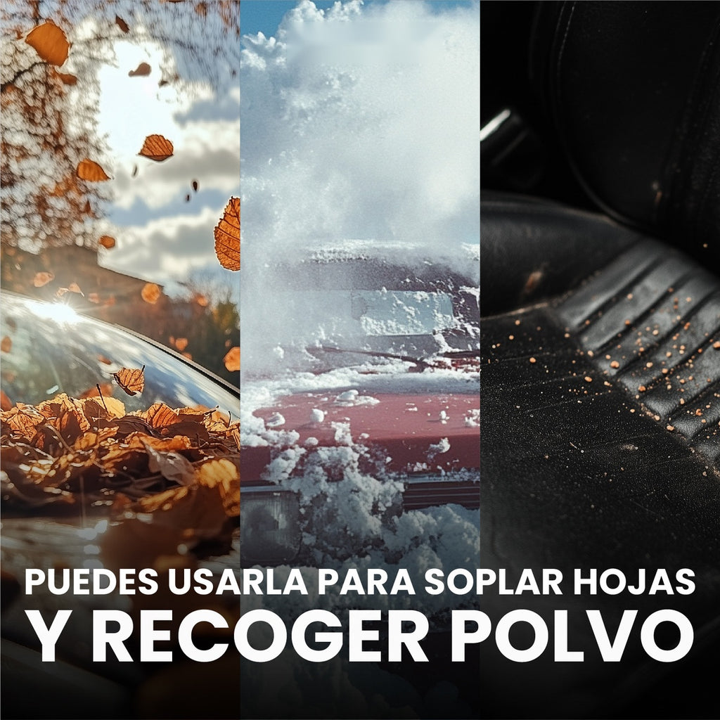 Sopladora Profesional Inalambrica Con Accesorios Doble Bateria Estuche 500W