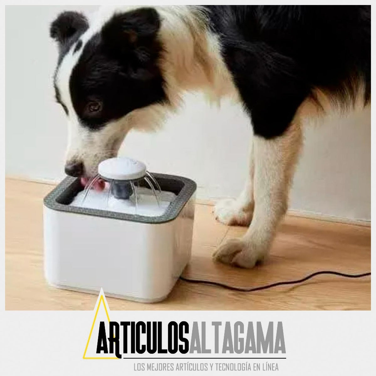 Fuente De Agua Para Gatos Perros Bebedero Para Mascotas Con 2 Filtros