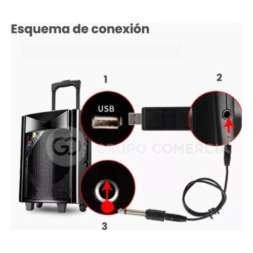 Microfono Inalambrico Receptor Usb Plug Profesional Karaoke